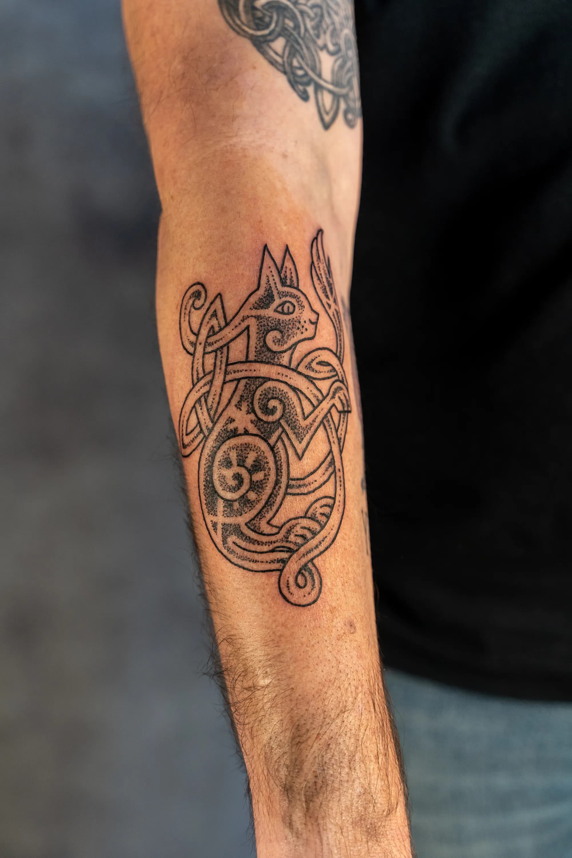 Jorvik Tattoo Moot 88