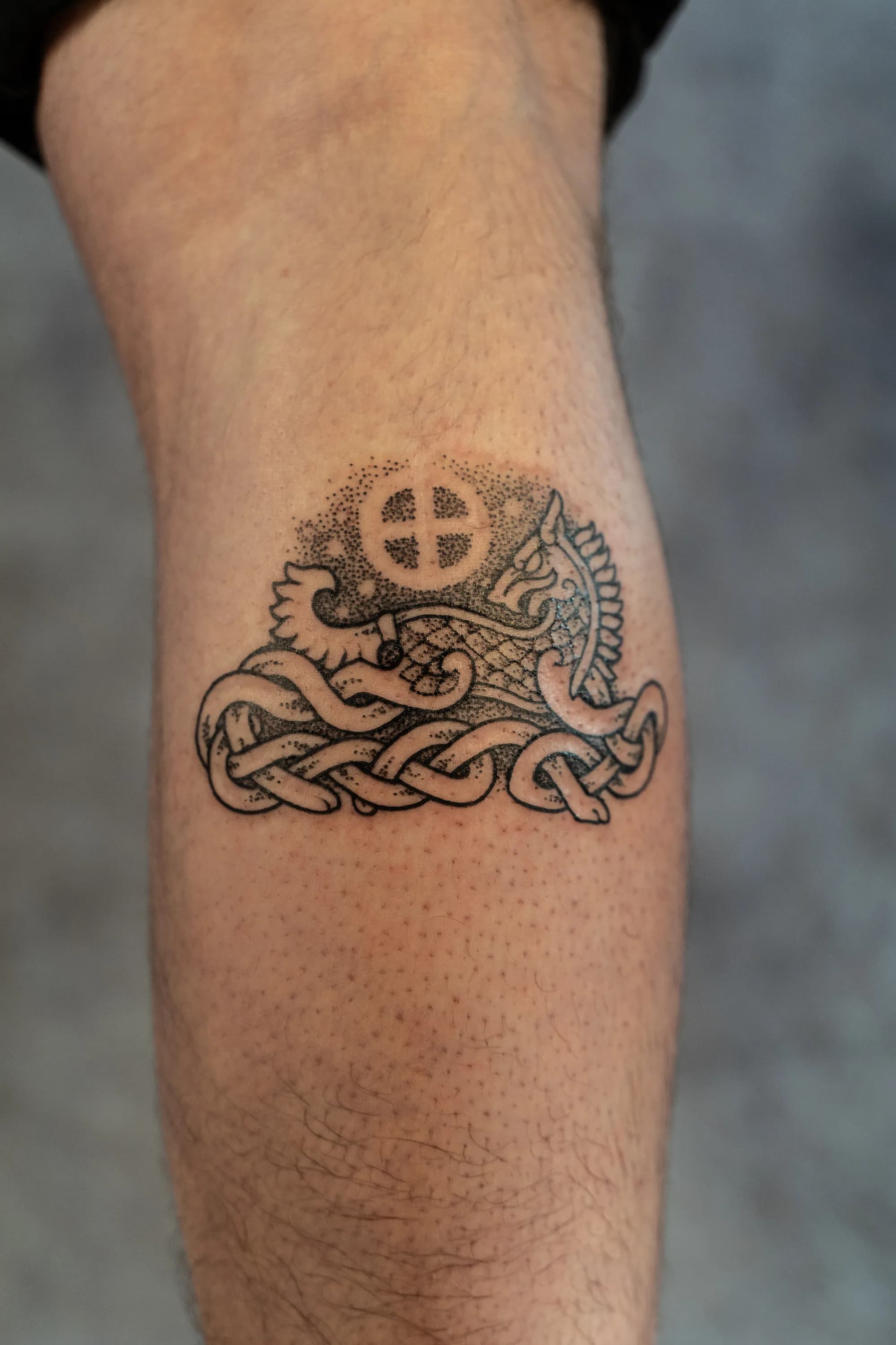 Jorvik Tattoo Moot 107