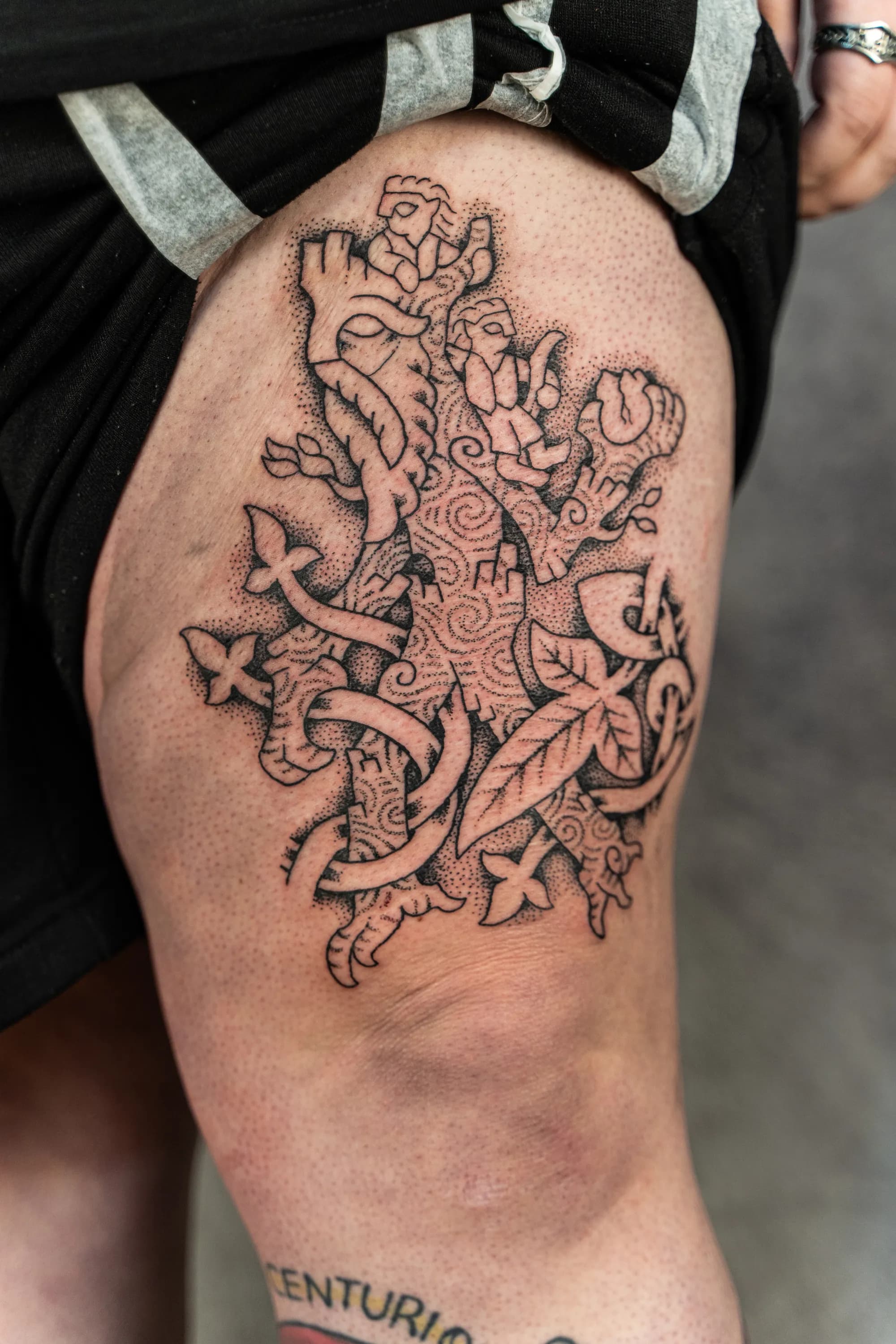 Jorvik Tattoo Moot 166
