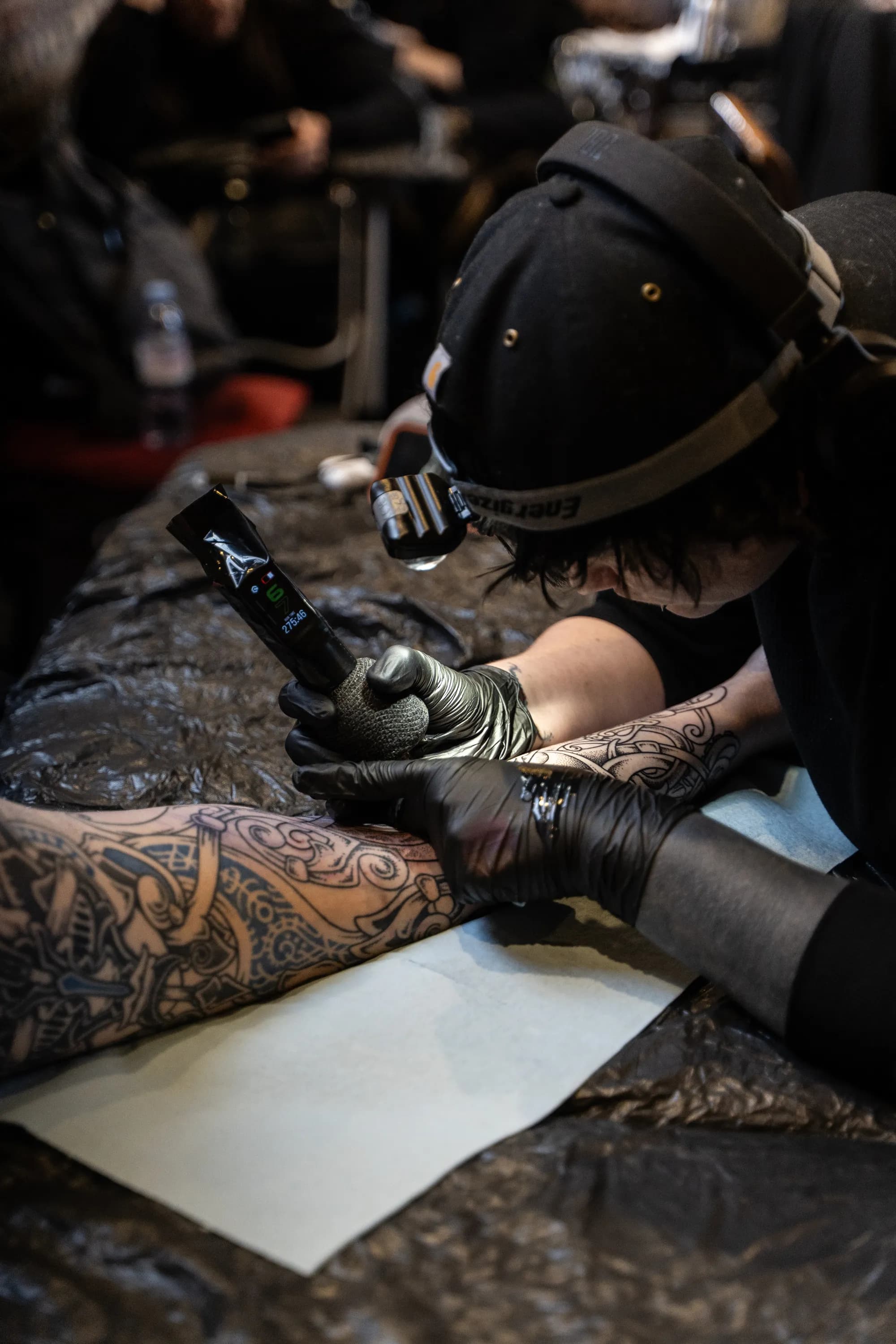 Jorvik Tattoo Moot 229
