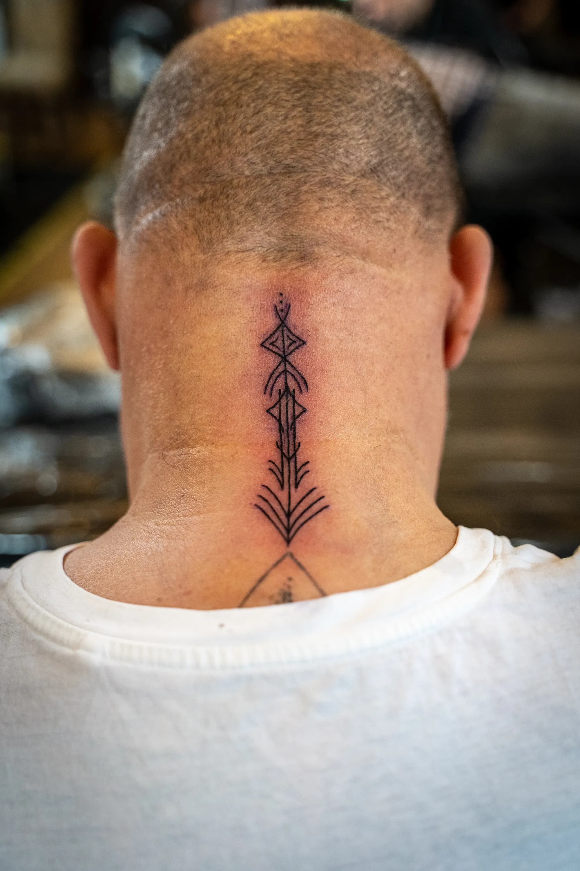 Jorvik Tattoo Moot 243